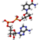 Illustration for article titled One pill a day could cure Type II Diabetes